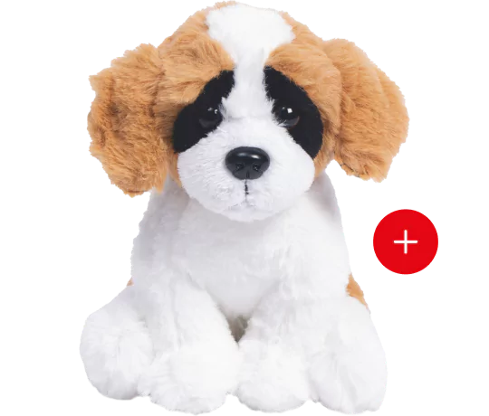 le saint bernard