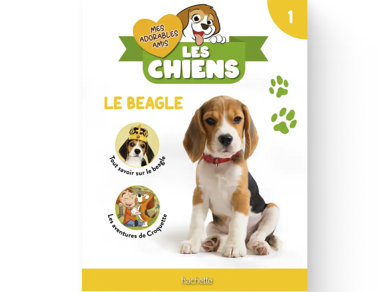 Joue et apprends avec les meilleurs amis des enfants